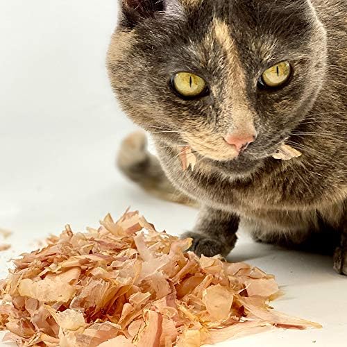 Cat leaning over a pile of Japanese bonito flake cat treats